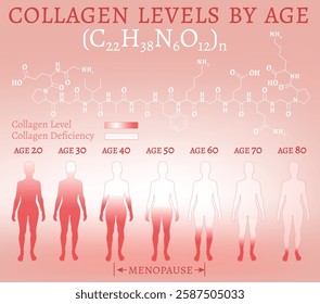 Collagen production in women based on age. Medical, healthcare infographics. Important information. Menopause problem. Editable vector illustration isolated on a white background. Horizontal banner