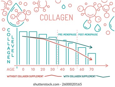 Collagen production in women based on age. Medical, healthcare infographics. Important information. Menopause problem. Editable vector illustration isolated on a white background. Horizontal banner