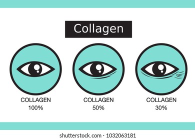 Collagen, Protection Skin vector