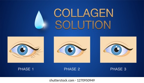 Collagen ,Protection Skin vector