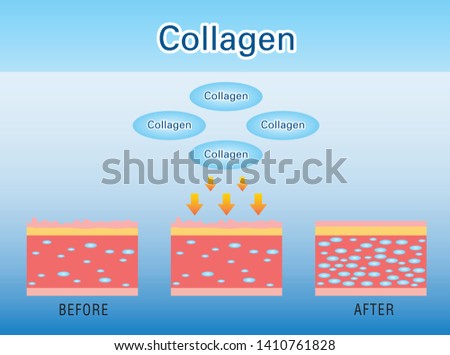 Collagen, Protection Skin. vector design.