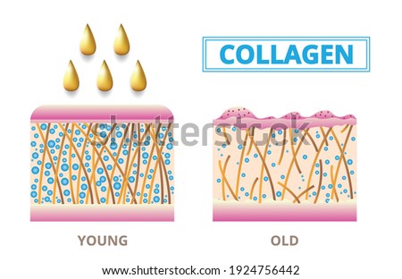 Collagen ,Protection Skin ,vector design.