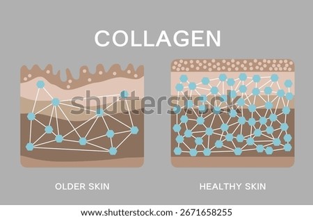 Collagen ,Protection Skin, vector design