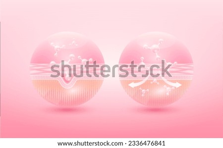 Collagen serum oil drop absorbed into the skin cell. Before and after process of getting skin younger with help of moisturizer hyaluronic acid. skin solutions for cosmetic advertising. 3D Vector EPS10
