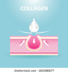 Collagen or Serum Repair the skin. Vector Background Concept for Skin Care Cosmetic Products.