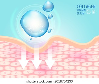 Collagen serum and vitamin or hyaluronic acid with skin structure. skin care concept