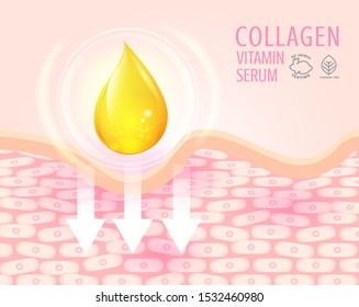 Collagen serum and vitamin with skin structure. skin care concept
