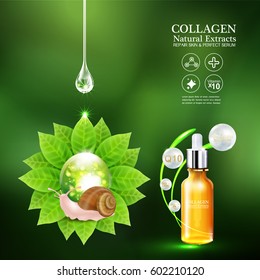 Collagen or Serum and Vitamins Template for Cosmetic Packaging Design. 