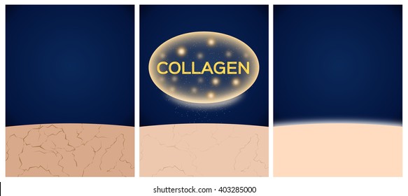 collagen and skin before and after , vector . bubble collagen