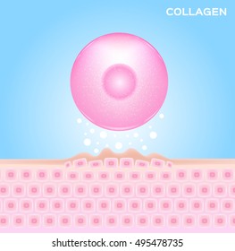 collagen and skin cell vector , serum , drop  