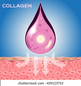 collagen and skin vector , apply on cell 