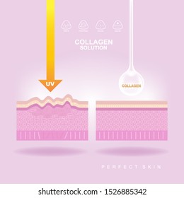 Collagen Solution Serum Drop and Vitamin Background Skin Care Cosmetic concept.