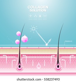 Collagen Solution Serum Drop and Vitamin Background Skin Care Cosmetic concept.