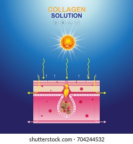Collagen Solution Serum and Vitamin Background Skin Care Cosmetic Vector concept.
