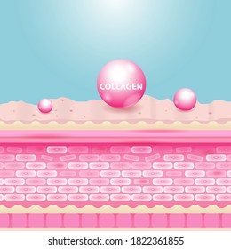 Collagen Solutions Vector Background Concept for Advertising Skin Care Cosmetic Products.