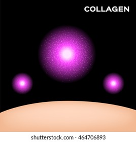 collagen vector icon with skin