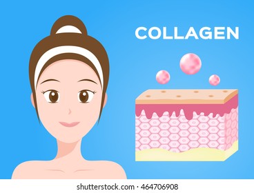 collagen vector icon . skin and model