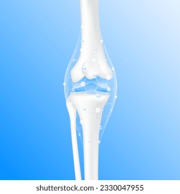 Collagen Vitamins and Calcium magnesium minerals line hexagon connecting surround care bone cartilage knee joint. Healthy human skeleton anatomy isolated on blue background. Realistic 3D vector.