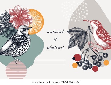 Collage-style-Vogelhintergrund. Sketched Vogel Trendframe Kreativer Hintergrund mit botanischen Illustrationen, geometrischen Formen und abstrakten Elementen. Perfekt für Druck, Wandkunst, Verpackung und Karten.