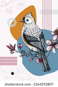 Collage-style bird card. Sketched Tufted titmouse on cherry trendy poster. Creative designs with botanical illustrations, geometric shapes, and abstract elements for nature print, wall art, packaging.