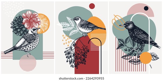 Collage-style bird cards set. Sketched birds trendy poster collection. Creative designs with botanical illustrations, geometric shapes, and abstract elements for nature print, wall art, packaging. 