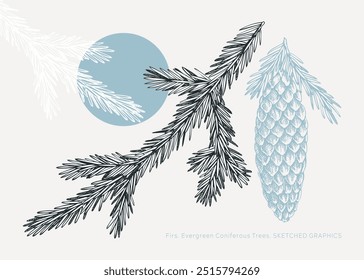 Collage-style fir sketch. Conifer tree drawing. Winter tree branch with cone hand-drawn vector illustration. Christmas design element. NOT AI genereted