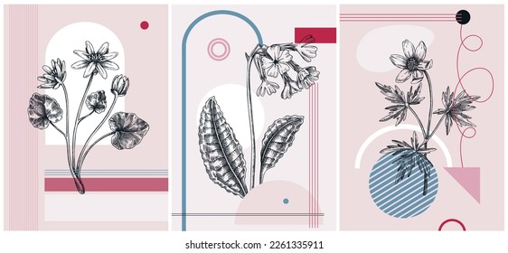 Collage-style first spring wildflowers vector illustration. Hand-drawn floral banner. Trendy design with botanical sketches, and geometric shapes. Winter anemone, cowslip, lesser celandine flowers