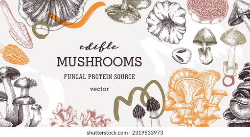 Collage-style mushrooms vector background. Trendy autumn forest plant frame. Fall banner design. Hand-drawn fungi sketches, abstract shapes. Healthy food, fungal protein foos vector illustration