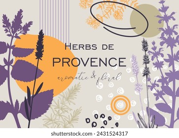 Fondo de hierbas de Provenza estilo collage. Plantas herbales dibujadas a mano ilustraciones vectoriales. Marco artístico con salvia, menta, romero, bocetos de lavanda. NO AI generado