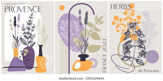 Collage-style Provence herbs background. Herbal plant sketch, hand drawn vector illustrations. Artistic frame for cosmetics packaging, perfumery labels, soap or candle making. NOT AI generated