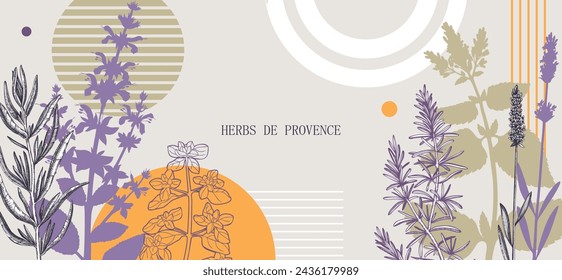 Collage-style Provence herbs background. Herbal plants hand-drawn vector illustrations. Artistic frame with sage, peppermint, rosemary, lavender sketches. NOT AI generated