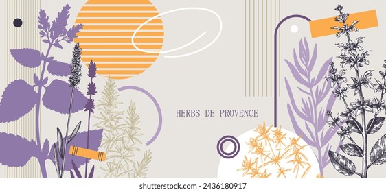 Collage-style Provence herbs background. Herbal plants hand-drawn vector illustrations. Artistic frame with sage, peppermint, rosemary, lavender sketches. NOT AI generated