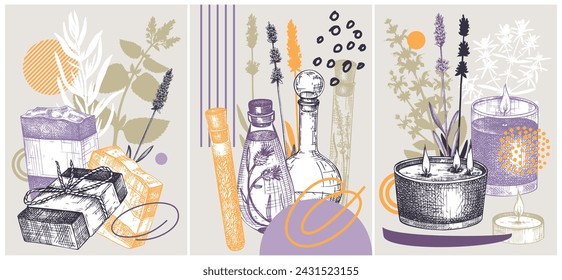 Collage-style Provence herbs poster set. Herbal plant sketch, hand drawn vector illustrations. For cosmetics packaging, perfumery labels, soap or candle making. NOT AI generated