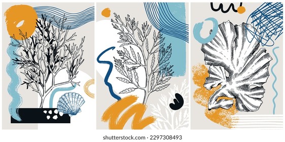 Collage-style seaweeds vector illustration. Sketched underwater plants banner set. Trendy design with botanical elements and geometric shapes. Elegant algae for sketch poster, card, and wall art.