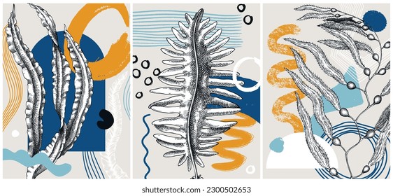 Collage-style seaweeds vector illustration. Sketched underwater plants banner set. Trendy design with botanical elements and geometric shapes. Elegant algae for sketch poster, card, and wall art.