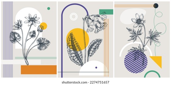 Collage-style spring background. Hand-drawn wild flower sketches. Floral designs set. Trendy cards with botanical elements and geometric shapes. Elegant wildflowers for print, poster, and banners