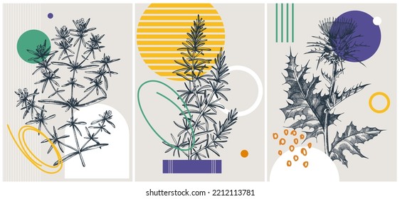 Collage-style summer herbs vector illustration. Hand-sketched floral banner set. Trendy design with botanical elements and geometric shapes. Elegant herbs for sketch print, poster, card, and wall art.