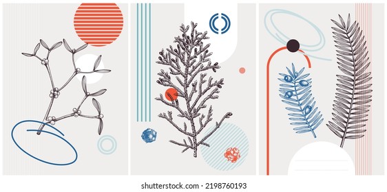 Collage-style winter vector illustration. Mistletoe, cypress, yew plant sketches. Trendy Christmas design with botanical drawings and geometric shapes. Christmas card, invitation, poster, print.