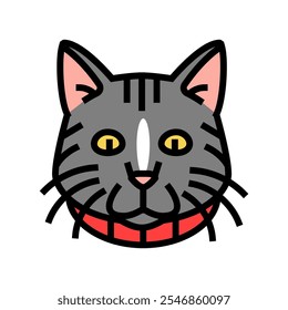 collar cat breeding color icon vector. collar cat breeding sign. isolated symbol illustration