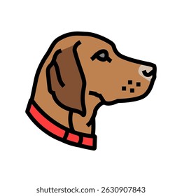 collar dog competition show color icon vector. collar dog competition show sign. isolated symbol illustration