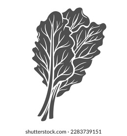 Collard glyph icon vector illustration. Stamp of leafy greens bundle, summer and spring leaf of organic plant for cooking healthy salad in vegetarian diet, raw collard leaves and cabbage vegetable