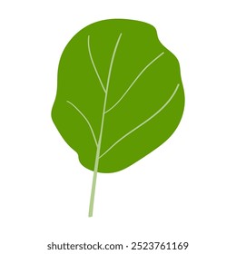 Collard greens. Flat isolated icon. Illustration on white background.