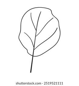 Collard greens. Plant. Outline isolated icon. Hand drawn illustration on white background.