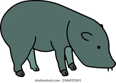 Collared Peccary pecari pig bacon animal Outline