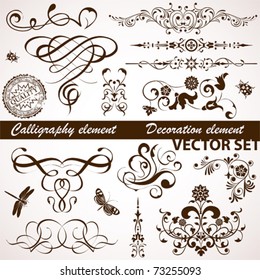 Collect Calligraphic and Floral element for design, vector illustration