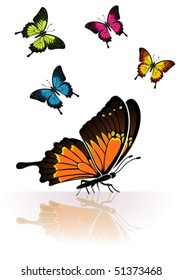 Collect many colored Butterfly with a mirror reflection, element for design, vector illustration