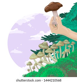 Collect mushrooms, cook mushrooms, walk in nature, pick mushrooms for food, keep mushrooms in hand. Vector flat cartoon illustration.