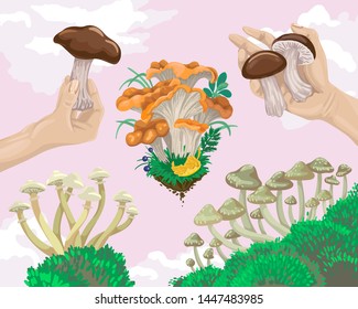 Collect mushrooms, fall collection harvest in the forest, different types of mushrooms, white and brown mycelium, a walk in the green forest. Vector flat cartoon illustration