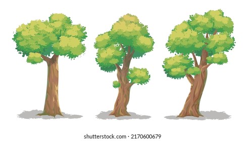 Collect of tree drawing in Cartoon style isolated on white background, vector illustration