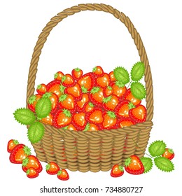 Collected a generous harvest. A basket full of ripe juicy berries. Fresh beautiful red strawberry, a source of vitamins and pleasure. Vector illustration.
